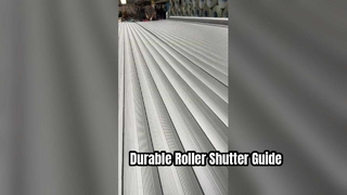 Double-layer foamed door 